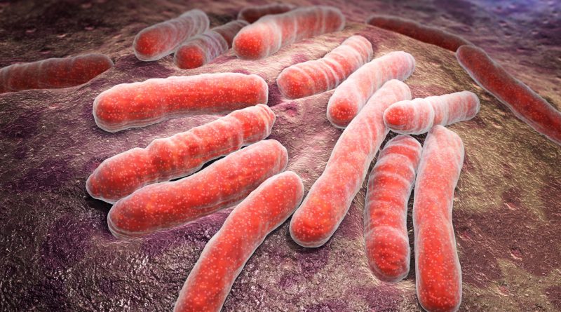 Virus salva a un hombre de una bacteria resistente a los antibióticos