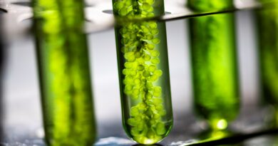 BIOSPAIN