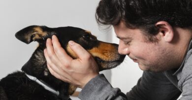 perro