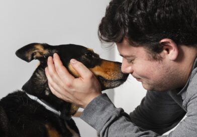 perro